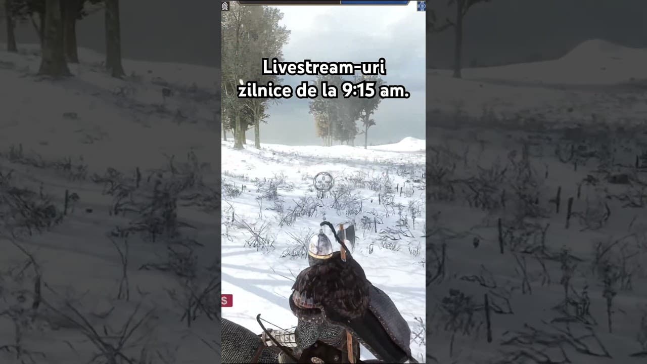 Vikingi în Mount and Blade 2 Bannerlord #shorts #gaming #bannerlord